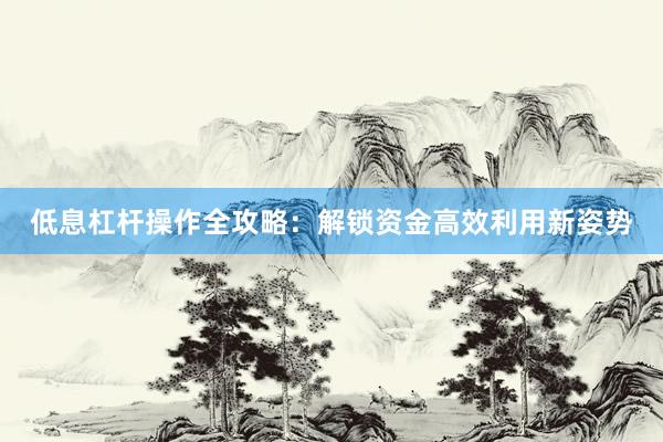低息杠杆操作全攻略：解锁资金高效利用新姿势