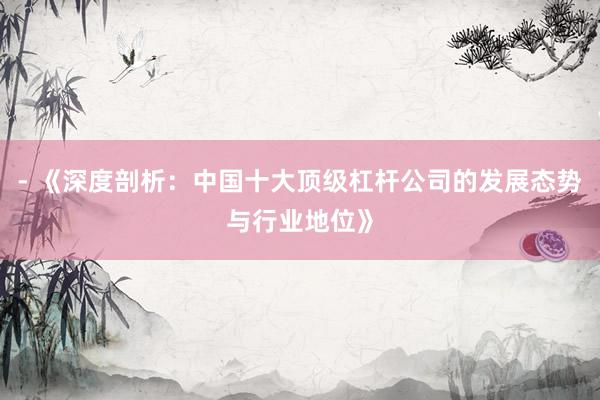 - 《深度剖析：中国十大顶级杠杆公司的发展态势与行业地位》