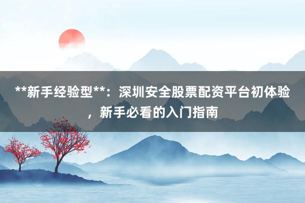 **新手经验型**：深圳安全股票配资平台初体验，新手必看的入门指南