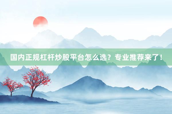 国内正规杠杆炒股平台怎么选？专业推荐来了！