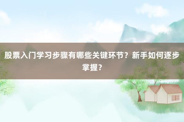 股票入门学习步骤有哪些关键环节？新手如何逐步掌握？