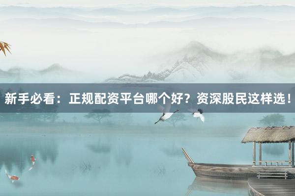 新手必看：正规配资平台哪个好？资深股民这样选！