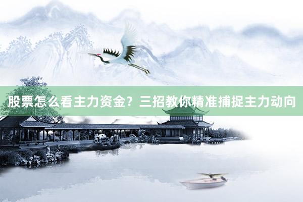 股票怎么看主力资金？三招教你精准捕捉主力动向