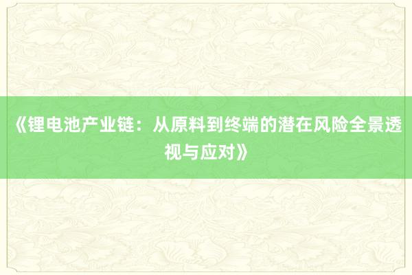 《锂电池产业链：从原料到终端的潜在风险全景透视与应对》