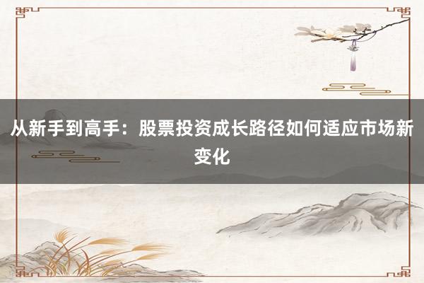 从新手到高手：股票投资成长路径如何适应市场新变化
