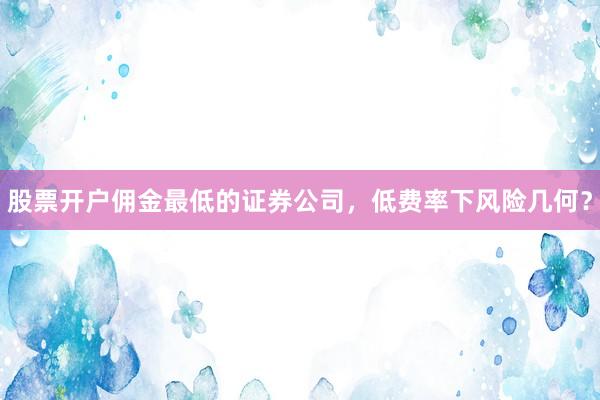 股票开户佣金最低的证券公司，低费率下风险几何？