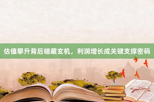 估值攀升背后暗藏玄机，利润增长成关键支撑密码