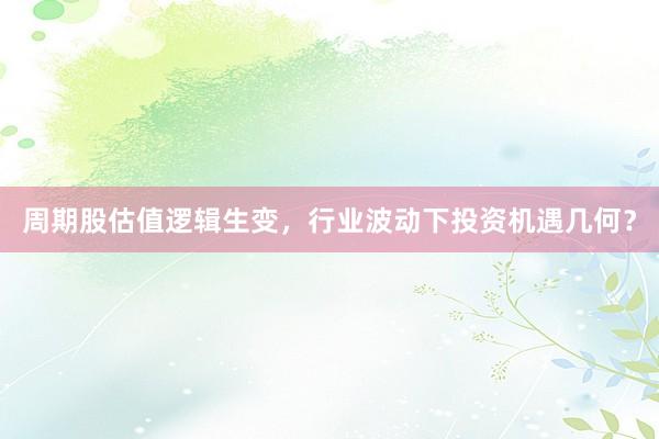 周期股估值逻辑生变，行业波动下投资机遇几何？