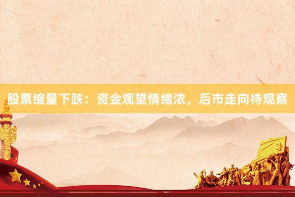 股票缩量下跌：资金观望情绪浓，后市走向待观察